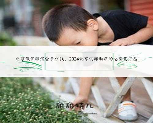 北京做供卵试管多少钱，2024北京供卵助孕的总费用汇总