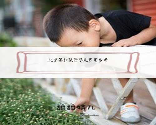 北京供卵试管婴儿费用参考